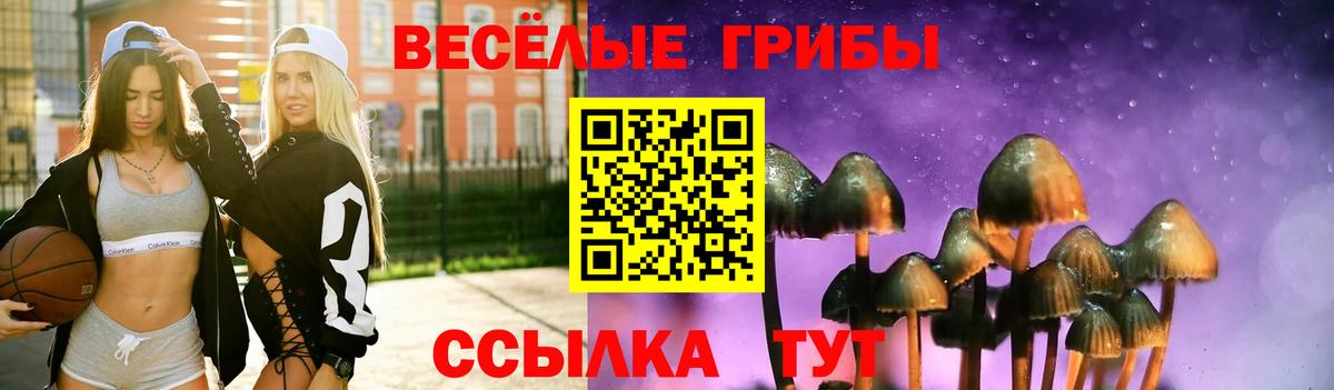 Камышлов  купить наркотики цена  Вход с VPN  Галлюциногенные грибы Psilocybine cubensis 